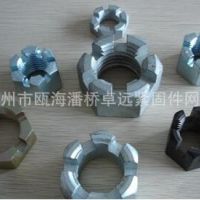 热销推荐不锈铁非标紧固件 不锈钢六角螺母 开槽六角螺母