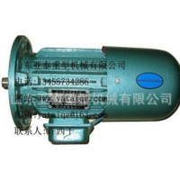 供应YSE80-4-0.8KW实心转子三相异步制动电动机,YSE80-4-0.8KW软启动电机