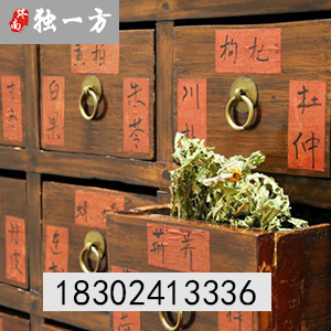 中医馆服务项目/济世誉林