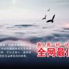 河南央视广告代理公司/中视易佰（北京）