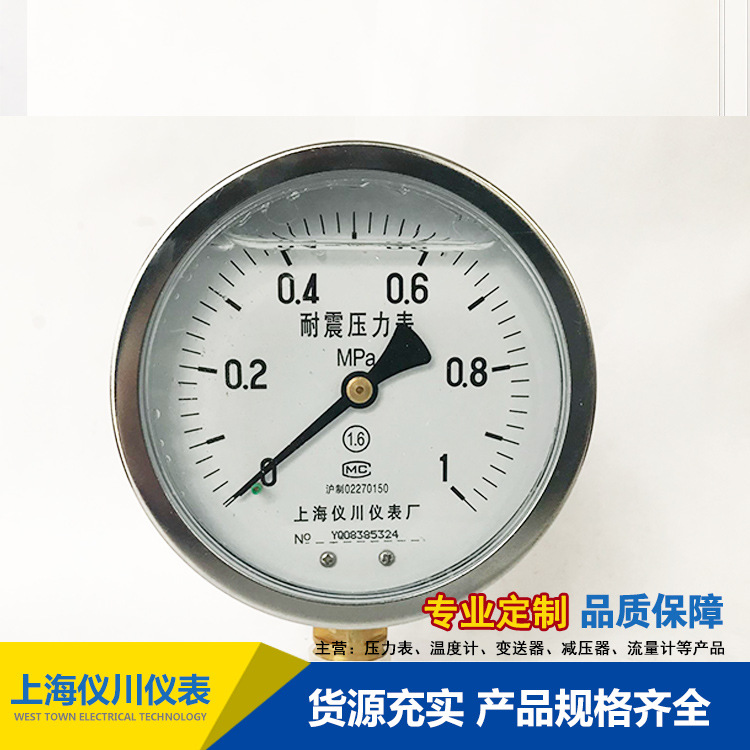 鑰愰渿鍘嬪姏琛╕N-100