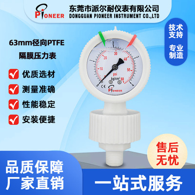 63mm四氟PTFE隔膜压力表 全塑隔膜压力表 耐强酸碱压力表厂家直销