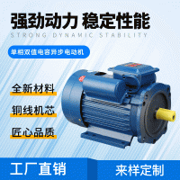 单相双值电容1.5kw-4电机 立式电机（220V）